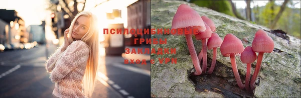 тгк Баксан